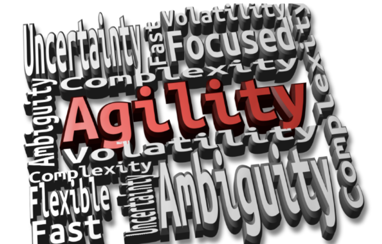 Strategic Agility